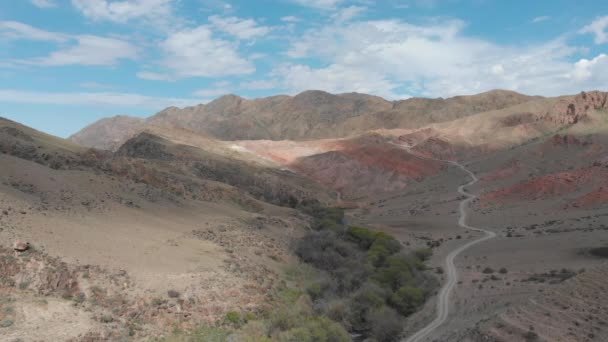 Vue Aérienne Descente Dans Gorge Hors Route Magnifiques Montagnes Multicolores — Video