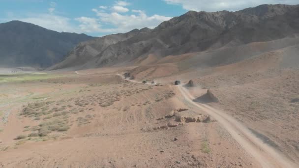 Vue Aérienne Vus Conduisant Long Chemin Terre Poussiéreux Parmi Les — Video