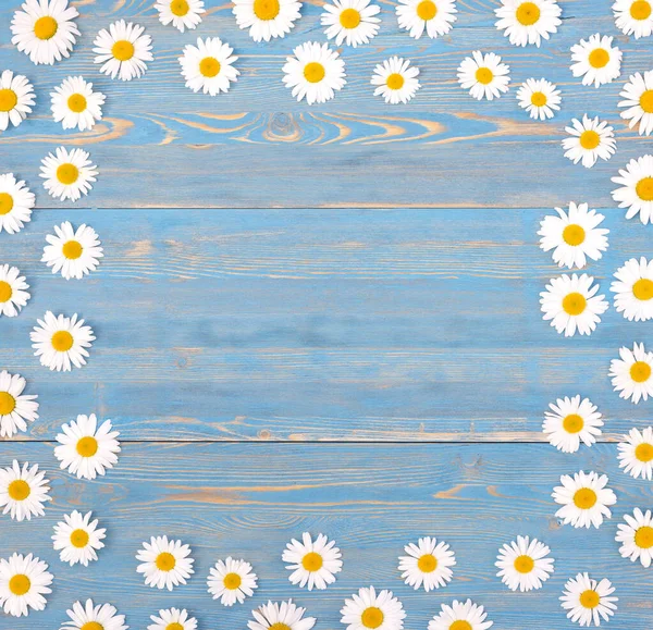 Frame Chamomile Flowers Blue Wooden Background Backdrop Copy Space Chamomiles — Stock Photo, Image