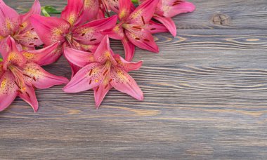 Ahşap arka planda pembe çiçekler Zambak