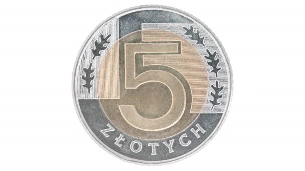 Animering ram av polska mynt närbild på vit isolerad bakgrund — Stockvideo