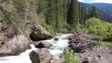 Vadideki ağaçların arasından akan hızlı dağ nehri.
