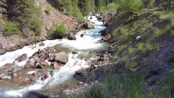 Berg snelle rivier stroomt in de kloof — Stockvideo