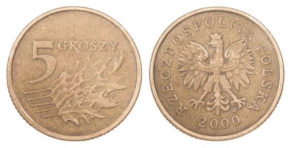 Polish coin — Stock Photo, Image