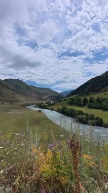 Koksu Nehri, Kazakistan 'daki manzaralı bir dağ vadisinde, parlak mavi gökyüzünün altında, yumuşak bulutlarla akıyor. Turkuaz su, kayalık kıyılar ve yoğun yeşil orman Orta Asya 'nın el değmemiş doğal bir manzarasını yaratır..