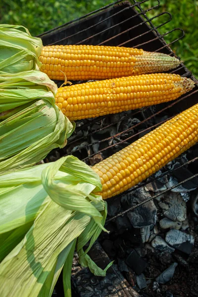 Corncob Ooking Fire — Stock Photo, Image