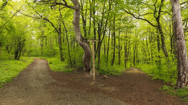 Yolları ve tabelasını Viyana ormanda