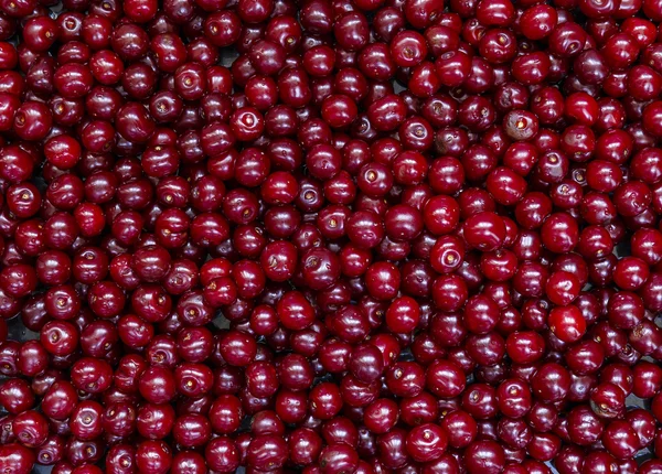 Cerises purifiées et lavées dans une boîte — Photo