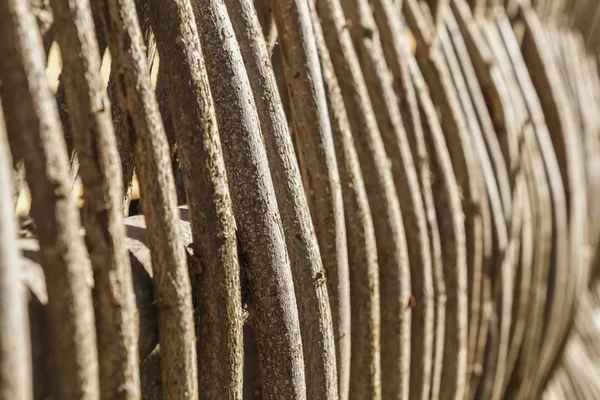 木の枝 (ソフト フォーカスからフェンス) — ストック写真