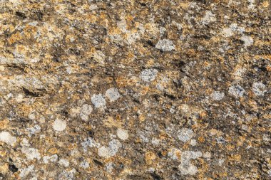 Yosun ve lekelerle kaplı eski taşın dokusu