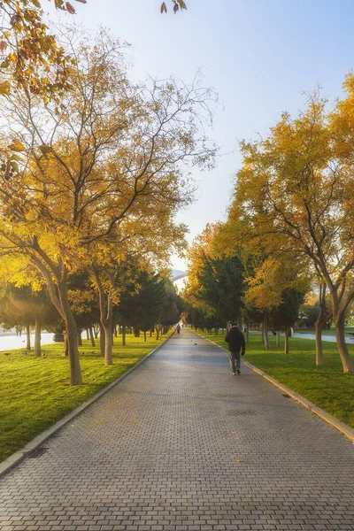 Herfst Kleuren December Baku Boulevard — Stockfoto