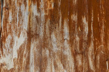 Eski, paslı demir yaprağın dokusu