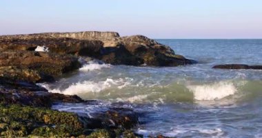 Soyut renkli animasyon dalgaları. Arkaplan özeti