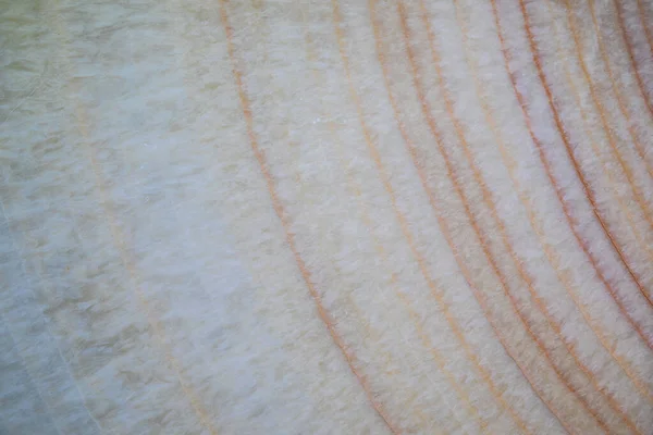 Texture Marble Slab Colored Veins — Stock Photo, Image