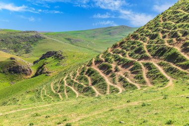 Yeşil tepelerdeki hayvanların ayak bastığı yollar