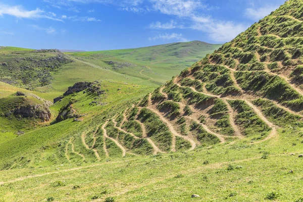 Caminos Pisados Por Animales Verdes Colinas — Foto de Stock