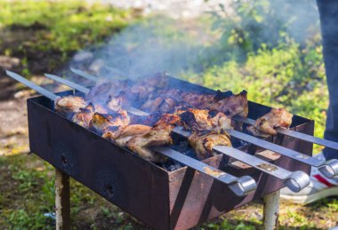 Izgarada kızarmış tavuk kebabı.