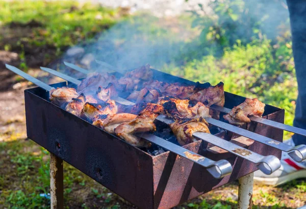 Izgarada kızarmış tavuk kebabı.