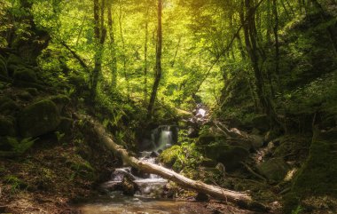  Bahar ormanındaki dağ şelalesi