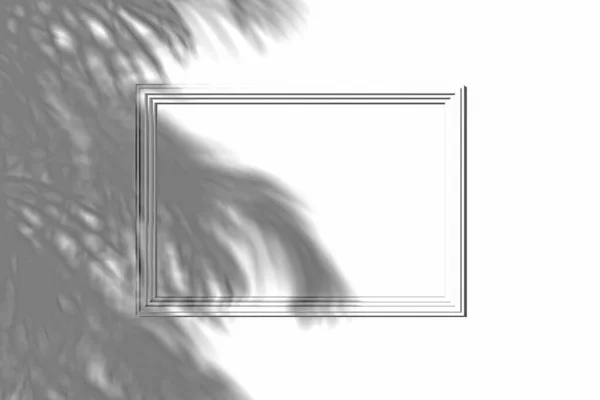 Picture Frame Wall Falling Shadow Tree Renderin — ストック写真