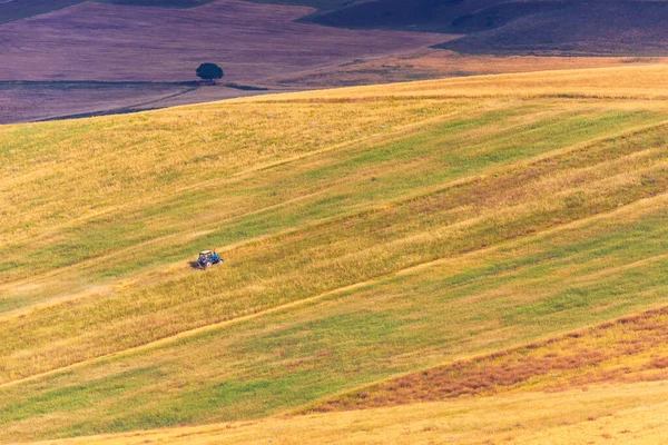 Traktor Skörd Grödor Ett Fält Bergen — Stockfoto