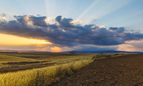 Puesta Sol Las Montañas Verano — Foto de Stock