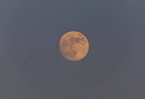 Volle Maan Bij Zonsondergang Achtergrond Van Een Heldere Hemel — Stockfoto