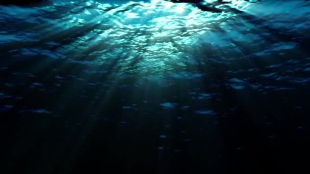 Відео Про Підводну Сцену Візуалізація — стокове відео