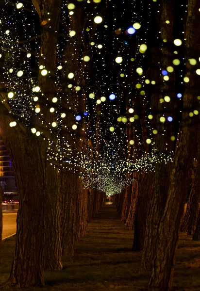 Guirnalda de Navidad en los árboles — Foto de Stock