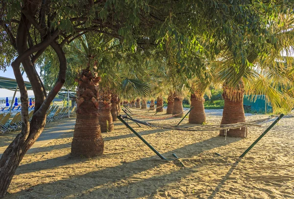 Palm trees and hammocks on the beach — Stock Photo, Image