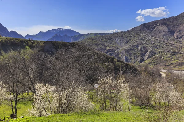 Primavera en las montañas cerca del pueblo de Lahij Azerbaiyán — Foto de Stock