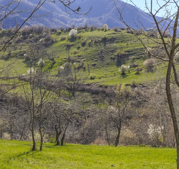 Primavera en las montañas cerca del pueblo de Lahij Azerbaiyán — Foto de Stock