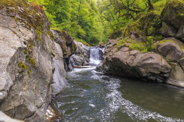 Nehirde Hirkan Milli Parkı Lenkeran Azerbaycan