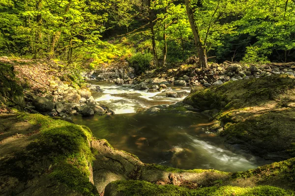 Rivier in Hirkan nationaal park in Lənkəran Azerbeidzjan — Stockfoto