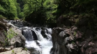 Hirkan Milli Parkı Lankoran Azərbaycanda nehirde