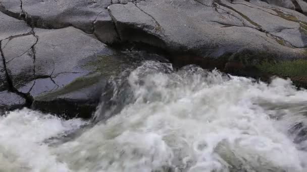 Rio Hirkan no parque nacional no Azerbaijão Lankoran — Vídeo de Stock