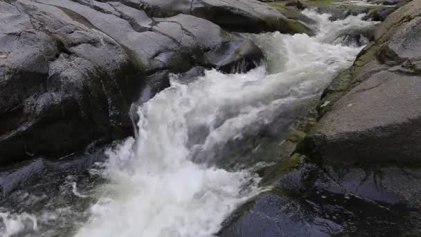 Река Хиркан в Национальном парке в Ланкоранском Азербайджане — стоковое видео