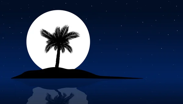 Palmier la nuit en fond d'été — Photo