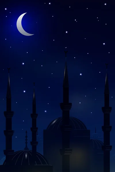 Mosque on the background of night sky.Vector — Stock Vector