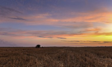 Günbatımı büyük Bulgaristan