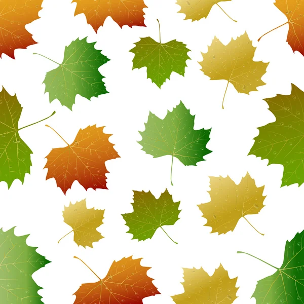 Autumn leaf pattern.Vector — Stock Vector