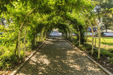 Bitkiler kemer şeklinde süslenmiş sokağın