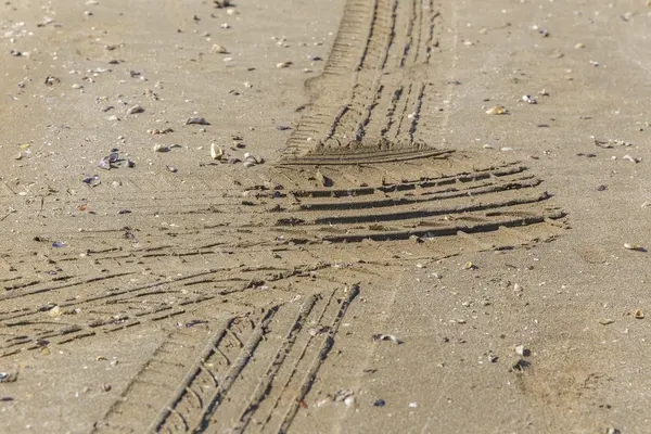 Arena de playa con conchas y rastros de las máquinas de rodadura (foc suave — Foto de Stock