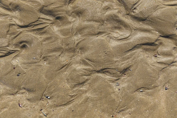 Strand zand met schelpen en sporen zorg golven — Stockfoto
