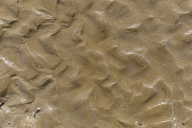 Sahil kumu kabukları ve izini sürmek bakım dalgalar ile