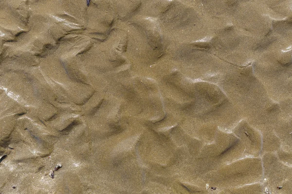 Areia de praia com conchas e traços cuidar ondas — Fotografia de Stock