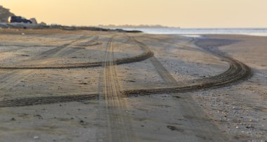 Sahil kumu kabukları ve izini sürmek sırt makineleri ile