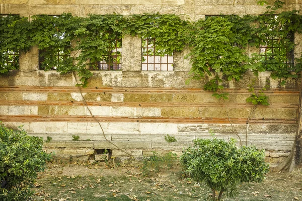 Duvar eski bir binanın dört windows ve Izgaralar — Stok fotoğraf