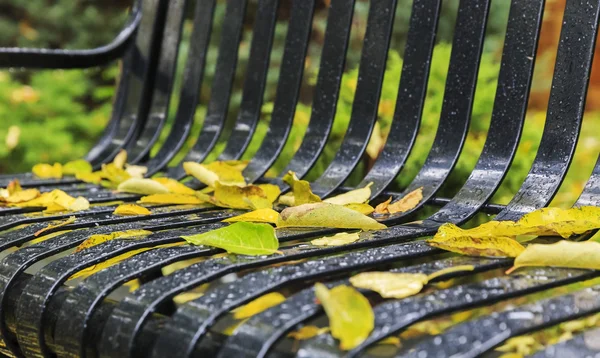 Autumn fallen leaves with drops of rain on a park bench — Stock Photo, Image