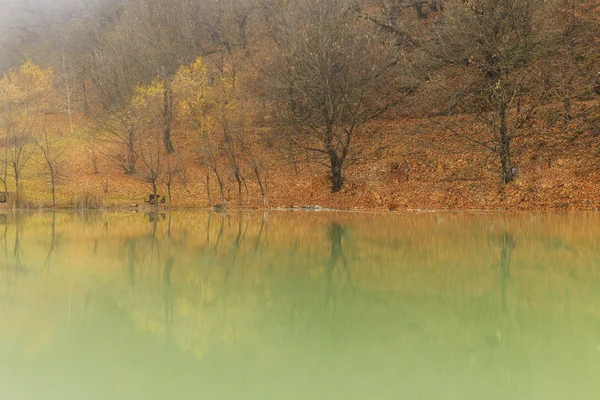 Reflejo de madera de otoño en el lago.Village Vandam.Duyma.Gabala.Az — Foto de Stock